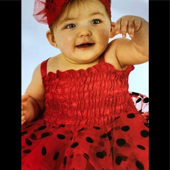 NWT ladybug outfit by Rubies size 6/12 m - Picture 1 of 3